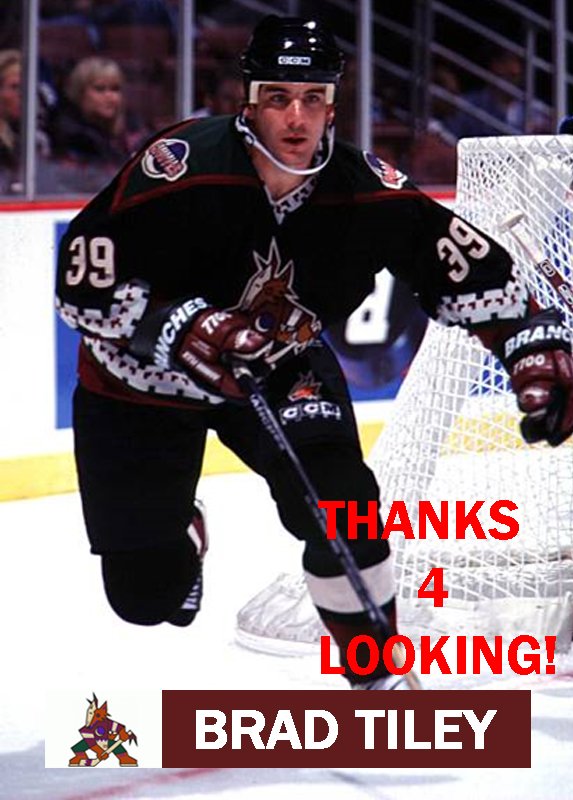 BRAD TILEY 199899 PHOENIX COYOTES HOCKEY CARD