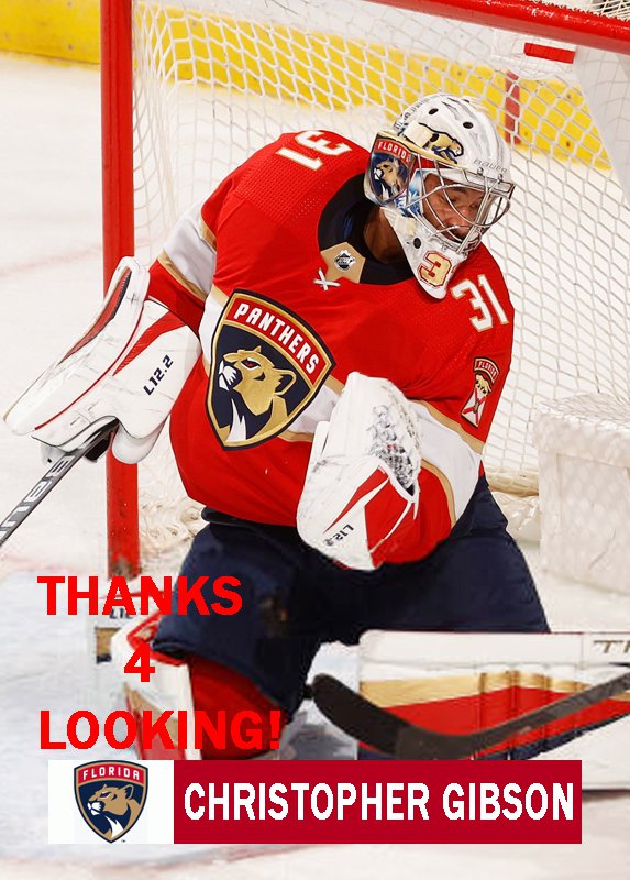 gibson florida panthers