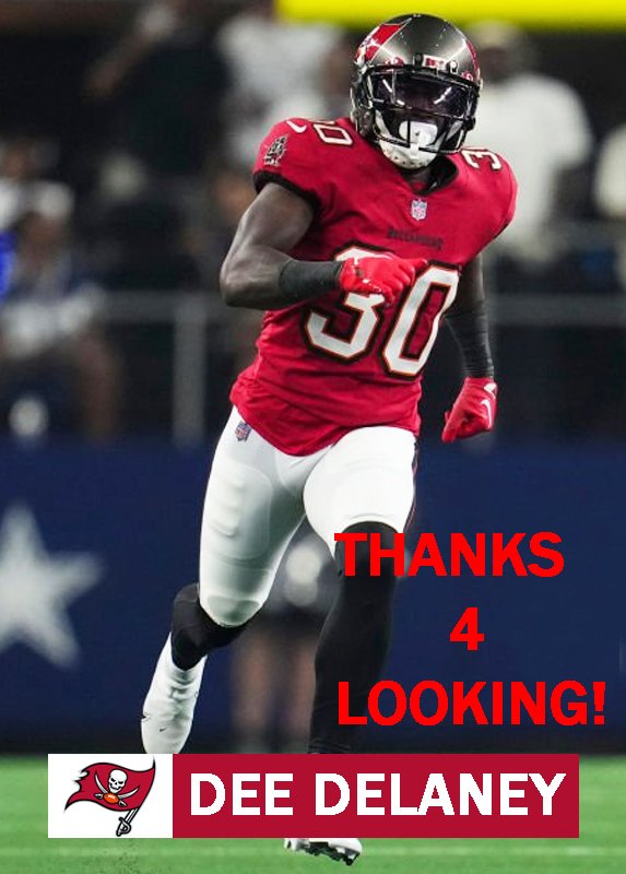 DEE DELANEY 2022 TAMPA BAY BUCCANEERS FOOTBALL CARD