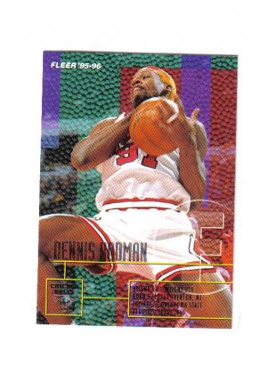 DENNIS RODMAN 95-96 FLEER #213