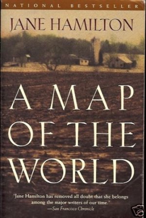 A MAP OF THE WORLD JANE HAMILTON REMOVED ALL DOUBT THAT