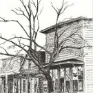 SCATTERLINGS 1986 Catherine Haynes Coleman Herriman Neb
