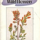 POINT LOBOS WILDFLOWERS By Ken Legg 1954