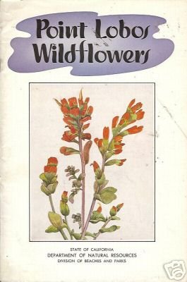 POINT LOBOS WILDFLOWERS By Ken Legg 1954