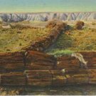 TWIN SISTERS PETRIFIED FOREST ARIZONA