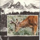 MOUNT RAINIER'S MAMMALS M. L. SCHAMBERGER WASHINGTON