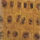 MODERN BIOLOGY 1965