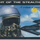 STEALTH FIGHTER DECAL STICKER REMOVABLE AIR FORCE