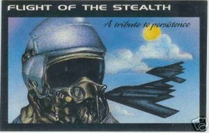 STEALTH FIGHTER DECAL STICKER REMOVABLE AIR FORCE