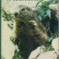 MOUNTAIN WILDLIFE Richard Perry HCDJ