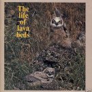 THE LIFE OF LAVA BEDS 1975 Wildlife Perry Schlegel