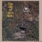THE LIFE OF LAVA BEDS 1975 Wildlife Perry Schlegel