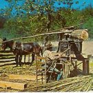 MULE MOLASSES RPPC Goldrush Junction Pigeon Forge TN