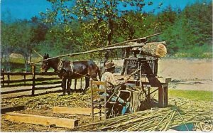 MULE MOLASSES RPPC Goldrush Junction Pigeon Forge TN