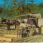 MULE MOLASSES RPPC Goldrush Junction Pigeon Forge TN
