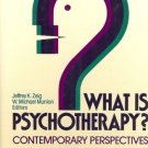WHAT IS PSYCHOTHERAPY? CONTEMPORARY PERSPECTIVES