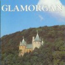 Shire County Guide GLAMORGAN Hilling 1991