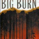 THE BIG BURN By Jeanette Ingold