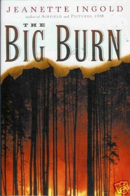 THE BIG BURN By Jeanette Ingold