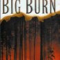 THE BIG BURN By Jeanette Ingold