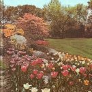 NEW  ILLUSTRATED ENCYCLOPEDIA OF GARDENING 1967