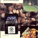 BIOLOGY OF THE INVERTEBRATES JAN. A PECHENIK