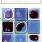 ABATON DES MOINES UNIVERSITY LITERARY REVIEW ISSUE TWO FALL 2008