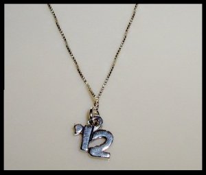 2012 Senior Graduation School Necklace - 18" Solid Sterling Silver