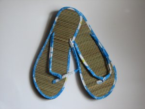 Women's Flip Flops Printed Blue Bamboo Size 10