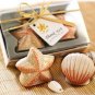 Beach Theme Wedding SeaShell Salt & Pepper Shaker 
