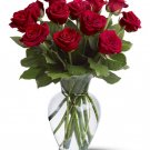 Freesh Sofia Roses