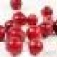 Cranberry