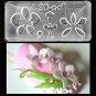 09 Orchid Petals