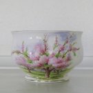 Royal Albert, Bone China, Blossom Time, Mini Open Sugar Bowl
