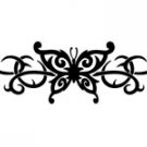butrfly001