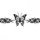 butrfly002