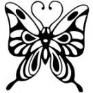 butrfly006