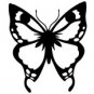 butrfly009