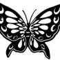 butrfly010