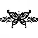 butrfly013