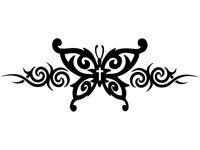 butrfly013