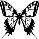 butrfly016