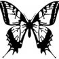 butrfly016