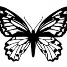 butrfly017