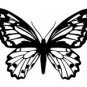 butrfly017