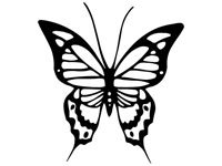 butrfly018