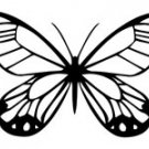 butrfly019