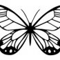 butrfly019