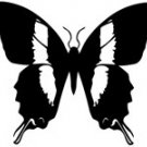 butrfly020