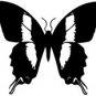 butrfly020